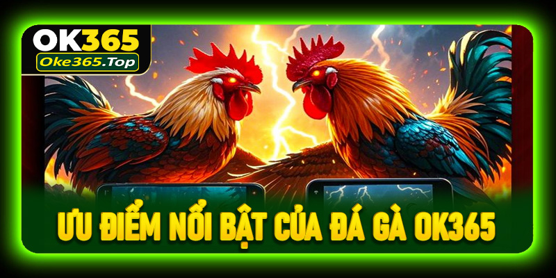 Tìm hiểu những ưu điểm nổi bật của sảnh đá gà OK365