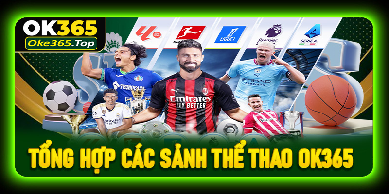 Tổng hợp các sảnh cược thể thao OK365 hàng đầu