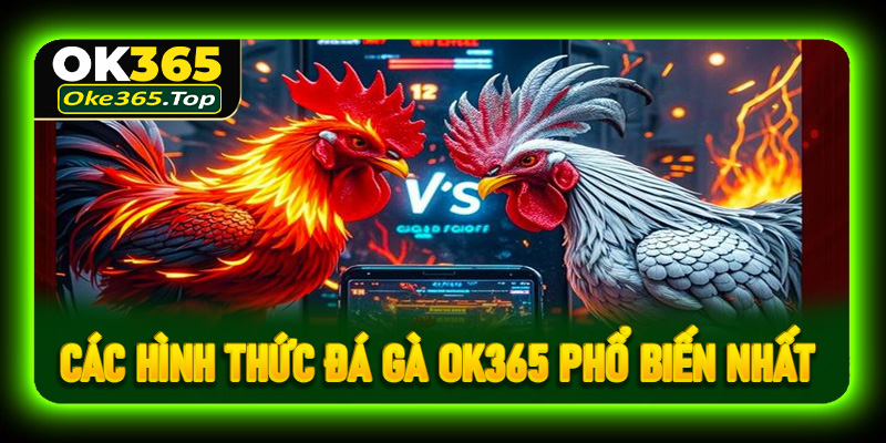 Tổng hợp các hình thức đá gà OK365 phổ biến nhất
