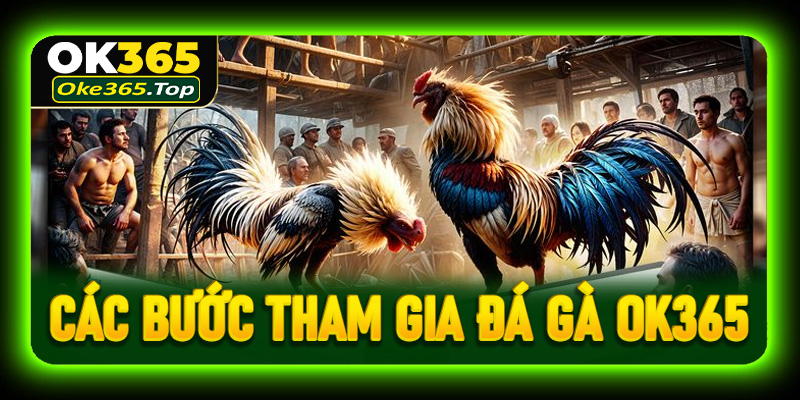 Hướng dẫn các bước tham gia cá cược tại đá gà OK365